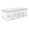8-Compartment Clear Hinged Storage Bin, 10.8x6.5 -Household Items Shop 8 compartment clear hinged storage bin 10.8x6.5
