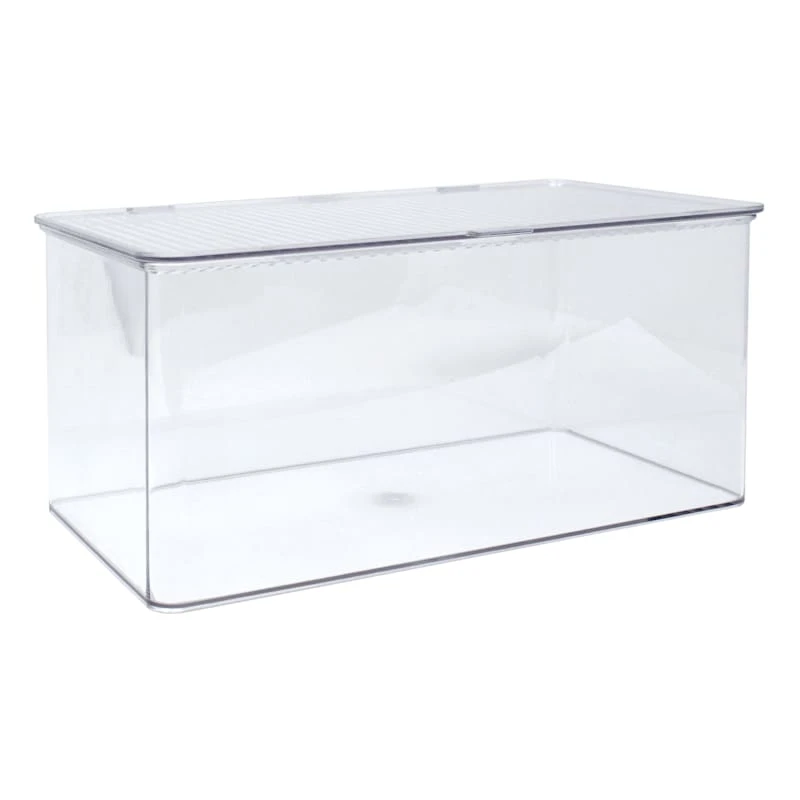 Clear Hinged Storage Bin, Large 3 Clear Hinged Storage Bin, Large